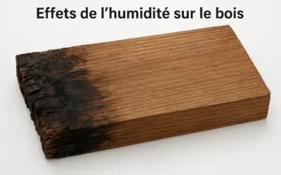 Effets de l’humidité sur le bois