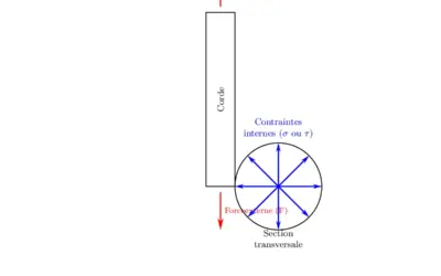 Cours de Contraintes et Déformations