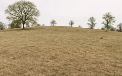 Préparation du Terrain pour une Construction