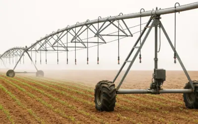 Système d’Irrigation à Partir d’une Rivière Locale