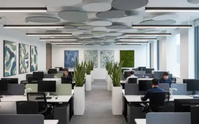 Amélioration Acoustique d’un Bureau Paysager